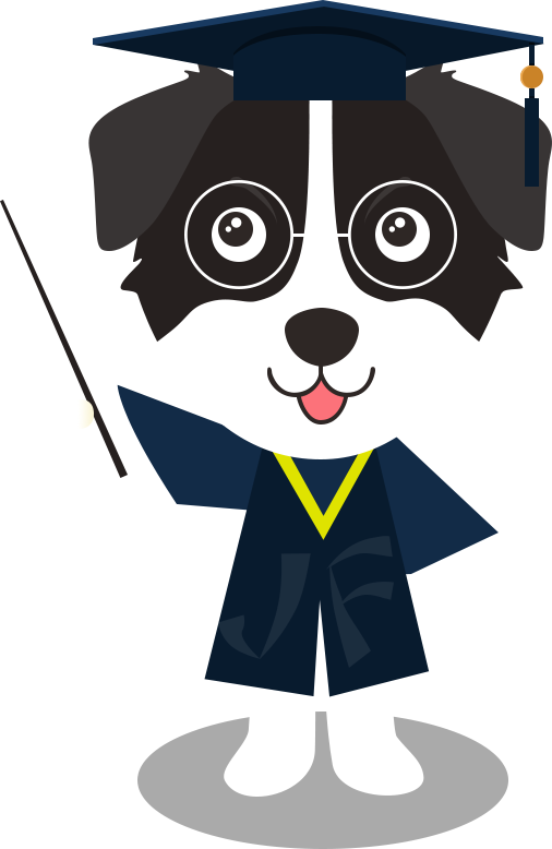 首页|拉斯维加斯9888集团官方网站